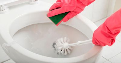 Mrs Hinch fans praise 38p cleaning tip for banishing yellow stains from toilet seats