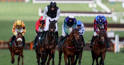 Cheltenham Festival 2023: The biggest ante-post losers for bookmakers as punters pile in