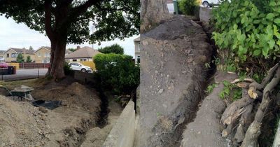 Bradley Stoke developer ordered to pay £9K for damaging protected tree