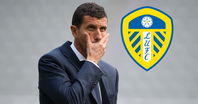 Latest Leeds United Premier League relegation odds after Javi Gracia appointed Whites head coach