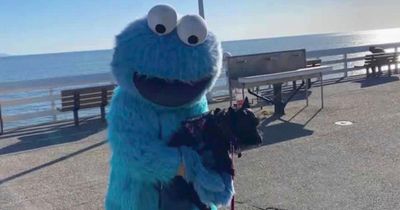 Police warn 'do not engage' man in Cookie Monster costume terrorising city