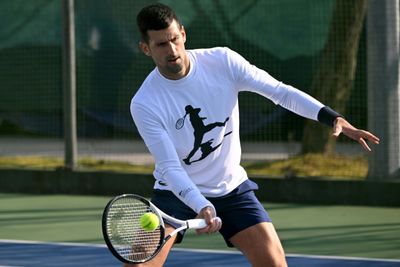 Djokovic nearly '100 percent' after fighting hamstring injury