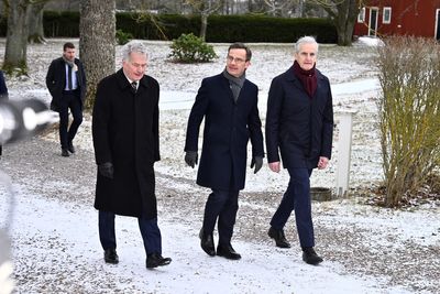Finland and Sweden are heading into NATO 'hand-in-hand', Finnish president says