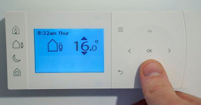 Amazon launches household gadget to help cut shoppers' energy bills