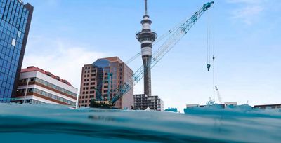 Floods have barely receded and already the self-serving calls: Build, baby, build