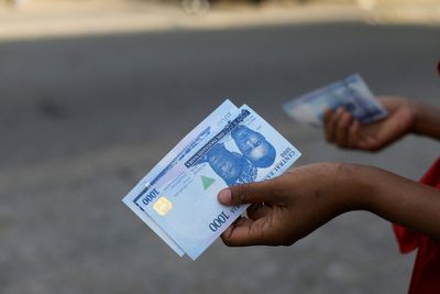 Nigerian states sue over withdrawal of old banknotes before elections