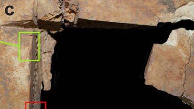 Evidence of Bronze Age neurosurgery found in remains of wealthy brothers buried in Israel