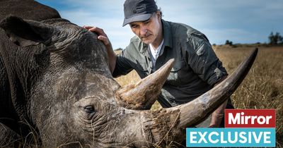 UK Supervet goes on safari and witnesses heartbreaking plight of rhinos hunted for horns