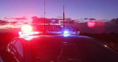 Woman charged after man carrying baby hit by car