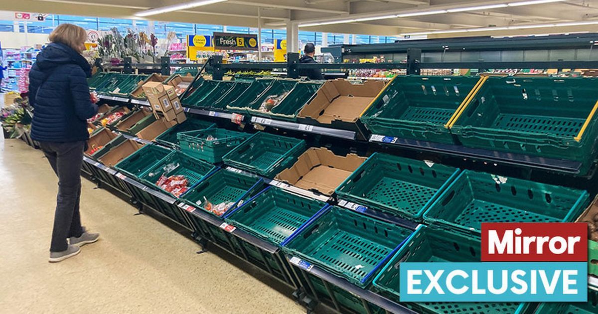 Aldi, Tesco and Asda fruit and veg shortages could…