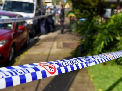 NSW govt urged take holistic view on domestic violence