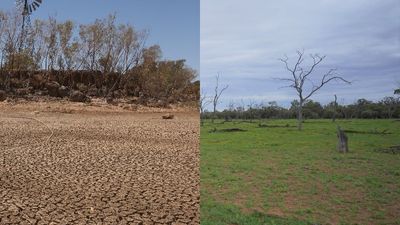 Less than 30 per cent of Queensland now drought-declared with rainfall a 'welcome relief'