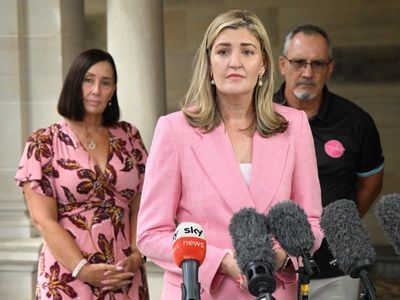 Queensland lays groundwork to outlaw coercive control