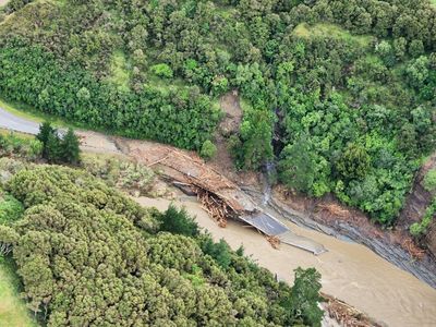 New Zealand to investigate forestry practices, impact