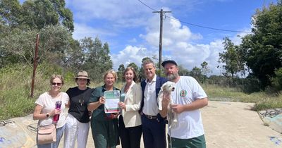 Labor promise to formalise Wickham Park access