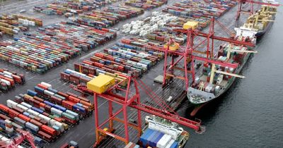 Port of Newcastle says competition watchdog's container case loss won't stop its plans