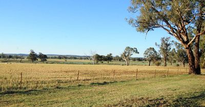 NSW government hoses down suggestions Premier Dominic Perrottet was considering new state owned coal mines