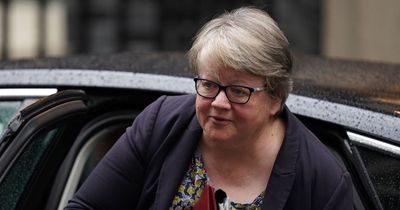 Tory minister Therese Coffey tells Brits to 'work more hours' if they can't afford food