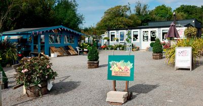 Owners of 100-year-old garden centre devastated as the council forces them to shut half of their shops