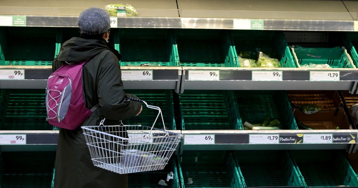 Eat turnips instead of tomatoes as shortages could…