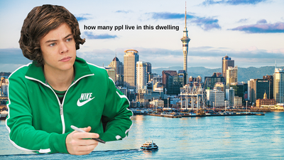 Harry Styles Needs To Do The Census When He’s In NZ Is He Gonna Say It Feels Like… A Census