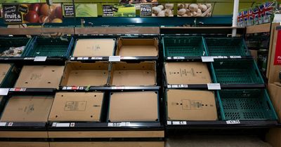 All fruit and vegetables being rationed by supermarkets - and when they could return