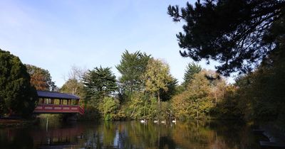 Man 'pushed woman into tree' in terrifying park attack