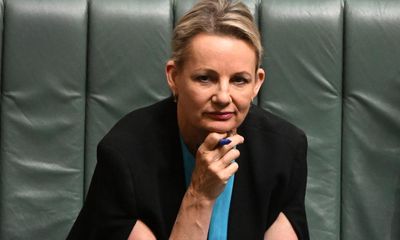 ‘Re-election vanity project’: Sussan Ley derides Anthony Albanese’s voice referendum campaign