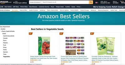 Brits scramble to buy tomato seeds on Amazon in bid to beat supermarket shortage