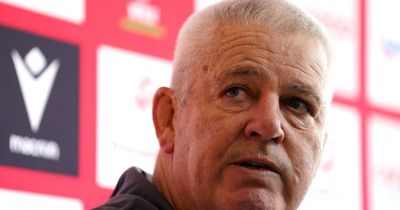 Warren Gatland reveals Wales players' request during strike talks in bid to protect everyone