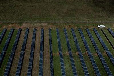 From his farm to Alaska, Jimmy Carter leaves environmental legacy