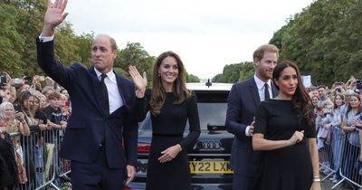 William and Kate have to 'extend hand of friendship' if Harry attends Coronation - expert