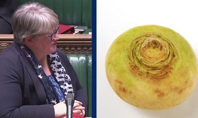 Environment secretary urges Britons to ‘cherish’ turnips amid food shortages