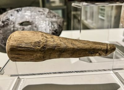Ancient Romans May Have Used Wooden Dildos, Researchers Say