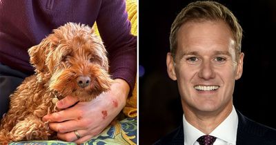 Dan Walker shares health update after horror crash as beloved dog refuses to leave his side