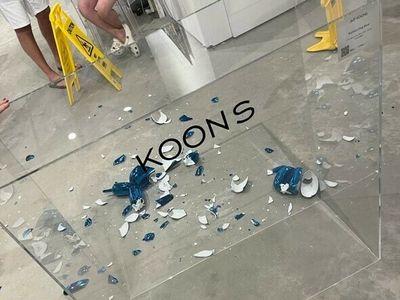 He watched the Koons 'balloon dog' fall and shatter ... and wants to buy the remains