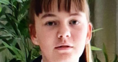 Urgent search launched for schoolgirl who vanished from Scots town