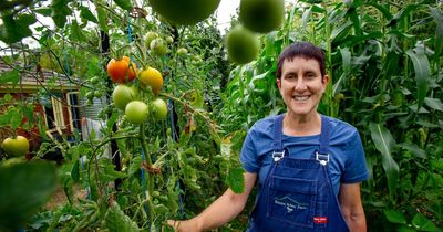 Majura Valley perfect for 'urban farms' in Canberra