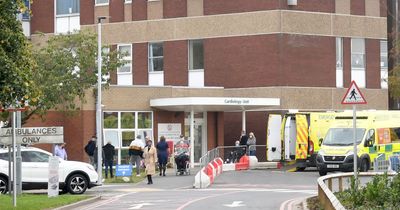 Crufts champion breeder died after missed sepsis diagnosis