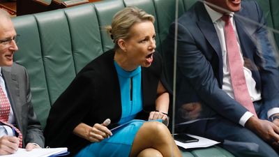 Sussan Ley decries Voice to Parliament as prime minister's 're-election vanity project'