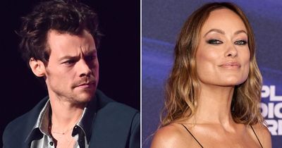 Olivia Wilde and ex Harry Styles are still 'good friends' with 'no animosity'