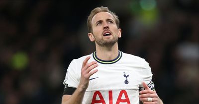 Tottenham news: Tim Sherwood admits Harry Kane worry amid Rodrigo Bentancur injury update