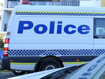 Man fatally stabbed in Sydney park brawl