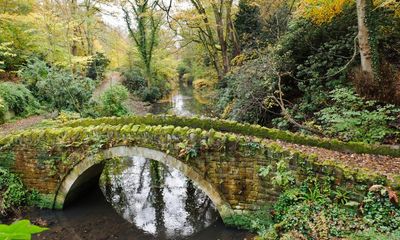 ‘Forever chemicals’ mean England’s waters will miss pollution targets for decades