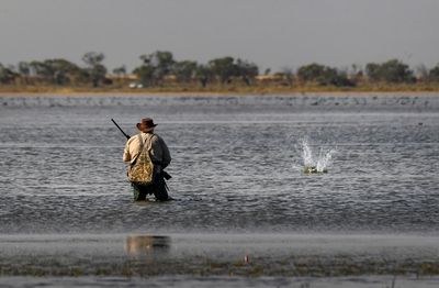 Victoria announces shortened duck hunting season amid review of ‘increasingly contested’ practice