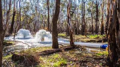 Water ministers fail to agree on way forward as Murray-Darling Basin Plan deadline looms