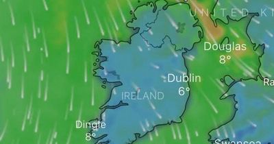 Dublin weather: Met Eireann forecast cold blast with sub-zero temperatures to hit over weekend