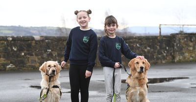Paw-some pals raise £300 for Guide Dogs charity