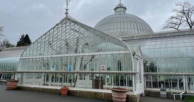 We spoke to Glaswegians about the planned charge for Botanic Gardens' glasshouses