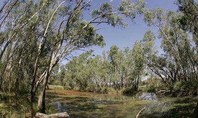 Murray-Darling Basin plan in chaos as Victoria and NSW oppose further water buybacks